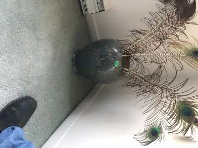 Pot décoratif, pot de fleurs Prix ferme 25$