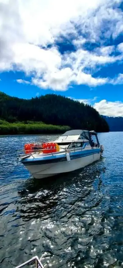 1985 Cabin Cruizer Bayliner 25 Ft - comes with a 350 merc engine - brand new 15 horse Xtra long leg...