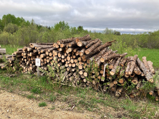 Cedar Posts For Sale in Decks & Fences in Thunder Bay - Image 2