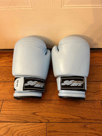 Paire de gants de boxe 30minute hit 10oz boxing gloves