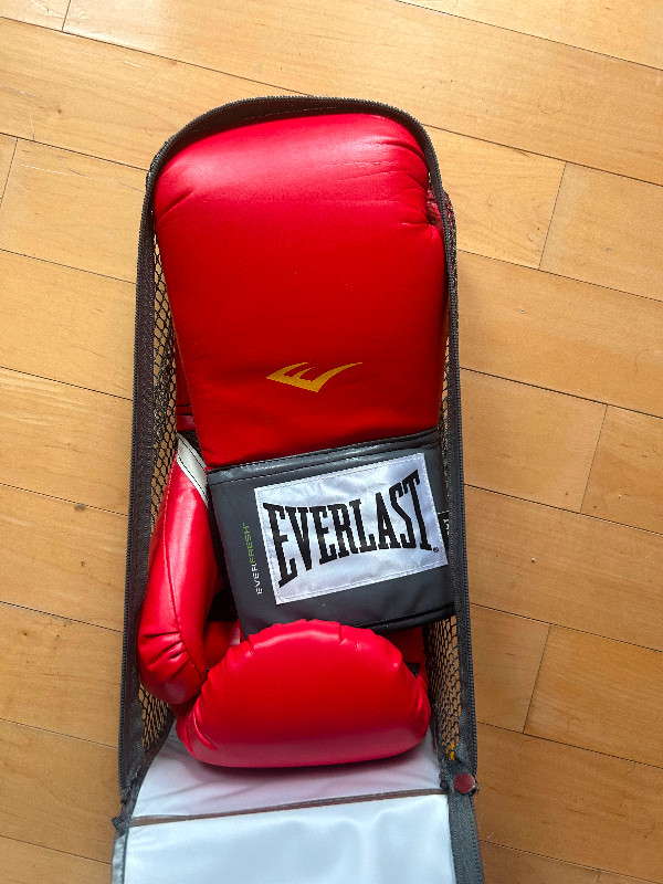 Everlast pro style training gloves in Exercise Equipment in City of Toronto - Image 2