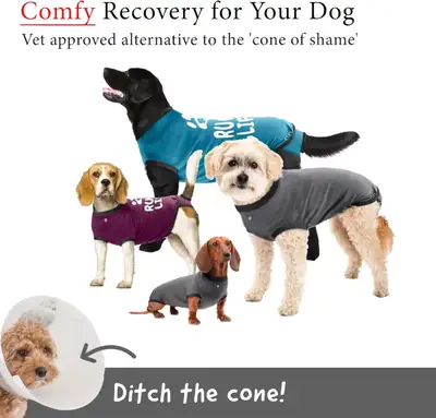BellyGuard Recovery Suit for Dogs., View more