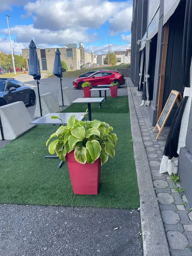 barmaid/waitress/cook in Bar, Food & Hospitality in City of Montréal - Image 9