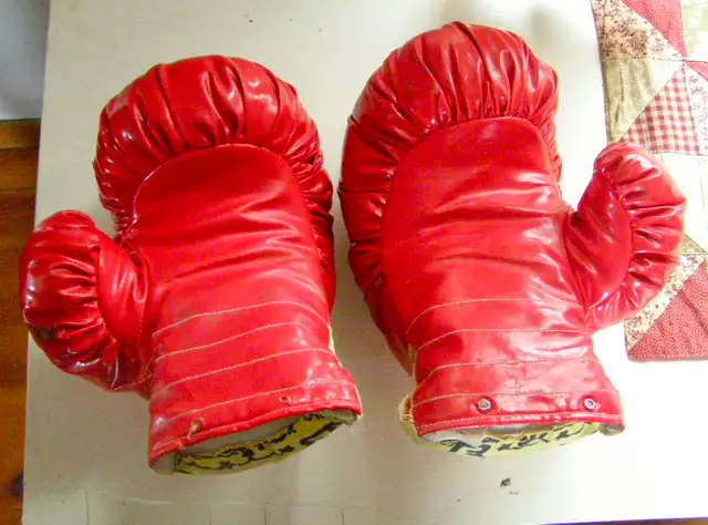 Boxing MMA Martial Arts Punching Bag & Gloves in Exercise Equipment in Ottawa - Image 7