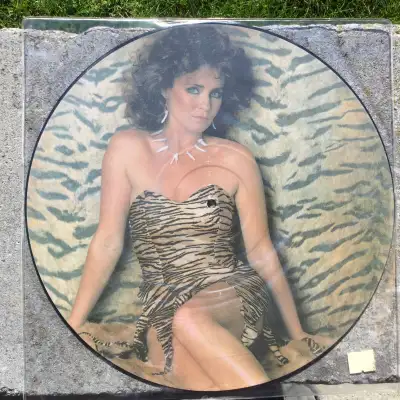 Ellie Warren -PICTURE DISC Vinyl Record -12 Inch Primative Love, View more