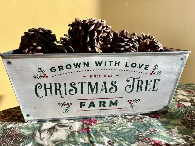 Christmas Tree Farm Bucket in Home Décor & Accents in Edmonton - Image 2