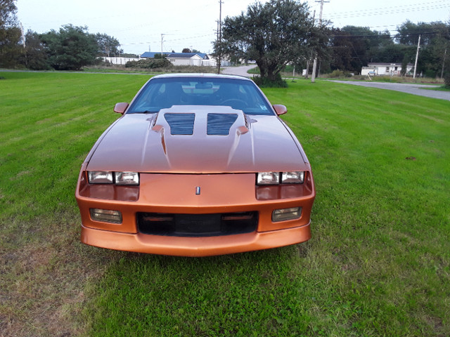 1986 Z-28 Camaro in Classic Cars in Moncton - Image 2