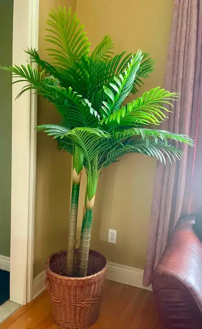 Decorative Palm Tree, View more