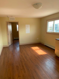 Newly Renovated One Bedroom Apt for Rent!!!