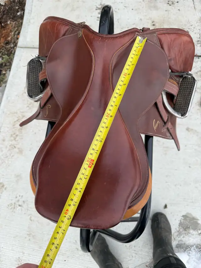 Pony Pessoa in Equestrian & Livestock Accessories in Red Deer - Image 3