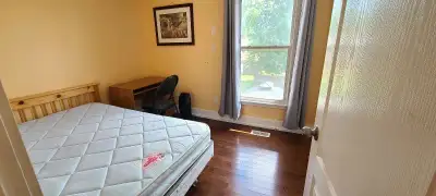 Room for rent