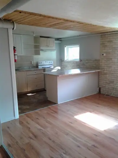 Private room for rent is available from September 1st in a two bedroom apartment in the heart of dow...