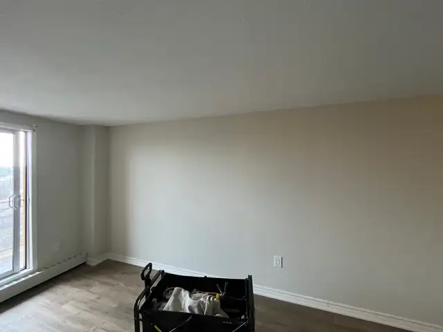 Professional Painter – Clean & Fast Work402405784646461440