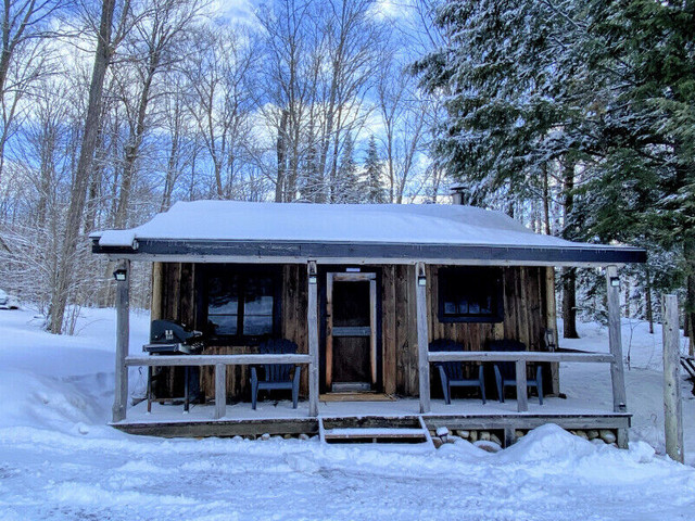 Cozy Rustic Cabin for Rent in Ontario - Image 2