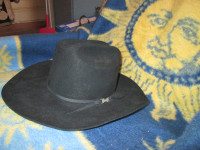 Authentic Cow Boy Hat
