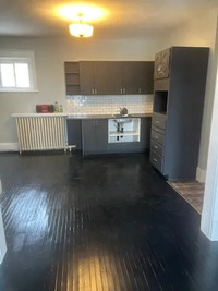 Newly renovated 2 bed upper level apt in Downtown Pembroke!