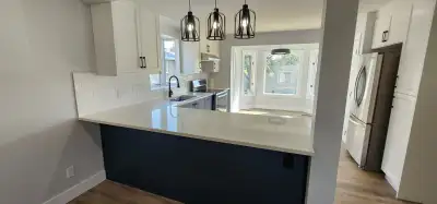 BASEMENT/KITCHEN/WASHROOM RENOVATIONS DONE RIGHT!!!, View more