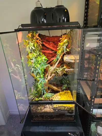 Exo Terra Terrarium, View more