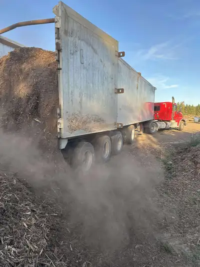 Free dump site , View more