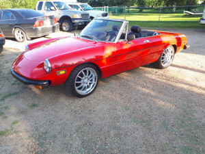 1978 Alfa Romeo Spider