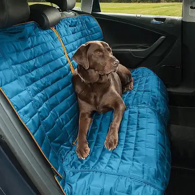 Dog Seat Cover For your Vehicle., View more