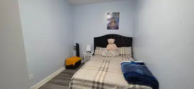 Shared bedroom for rent in basement in malton for girls only