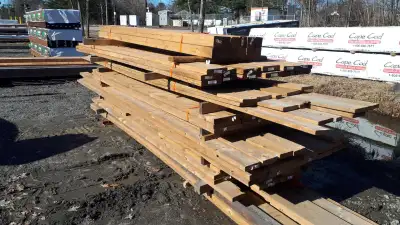 #2 LUMBER - check back in spring 2026, View more