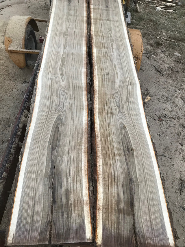 Live edge wood for sale  in Home Décor & Accents in Kingston - Image 4