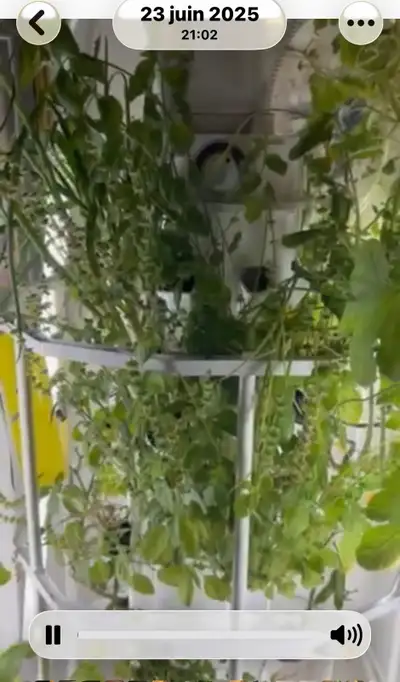 Tour Hydroponique Alto Garden, View more