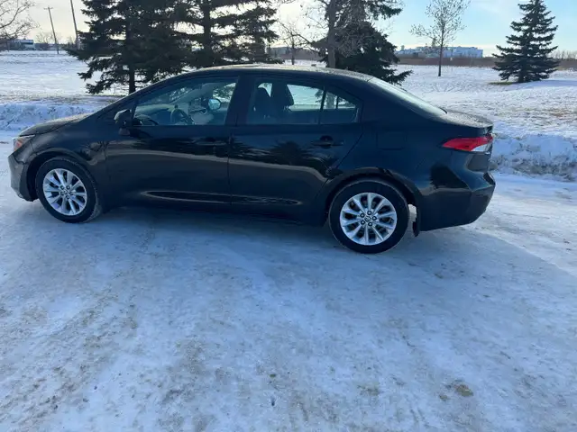 2022 Toyota Corolla Le in Cars & Trucks in Winnipeg - Image 7