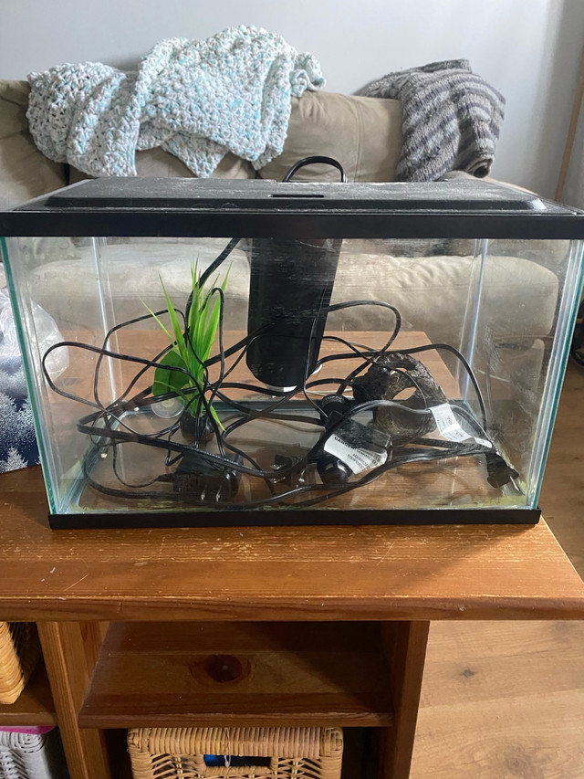 5 gallon fish tank  in Fish for Rehoming in Cambridge