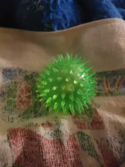 spiky ball, View more