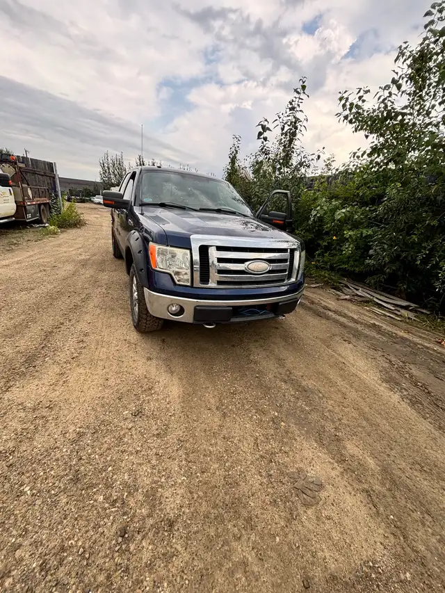 2009 Ford F150 XLT525767036791040006