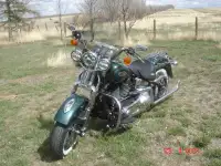 2000 Harley Davidson FLSTS Heritage Springer