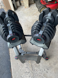 Bowflex weights 