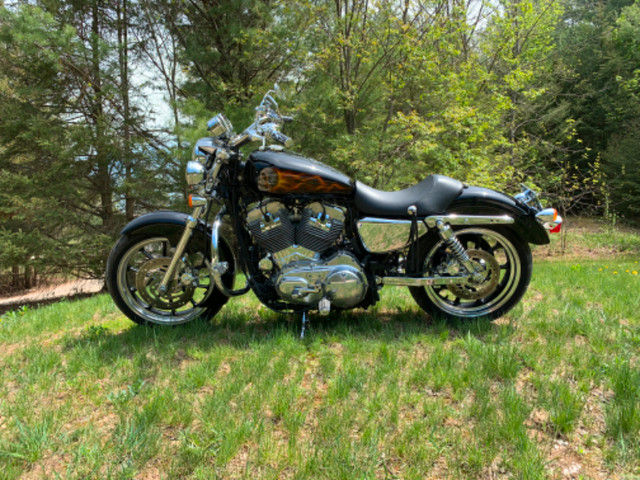 Harley-Davidson Sportster 883 XL Superlow in Street, Cruisers & Choppers in City of Toronto - Image 2