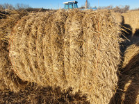 Wheat Bales.