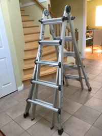 Multi-position ladder