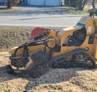 TREE STUMP GRINDING