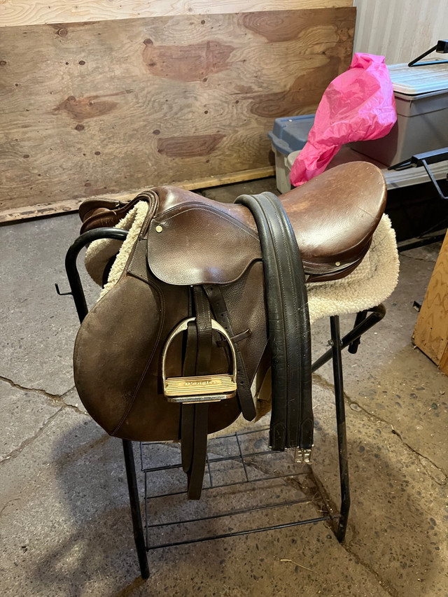  English Saddle   in Horses & Ponies for Rehoming in Kawartha Lakes - Image 2