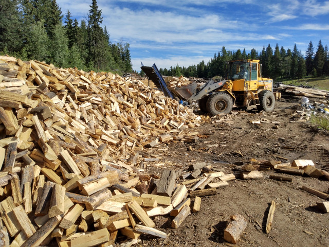 Firewood - true full cord in Fireplace & Firewood in Calgary