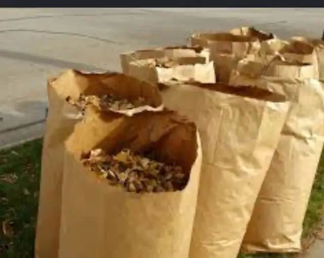 LF: bagged leaves in SF