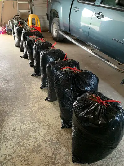 Timothy or Regular Hay for Rabbit, Bunny, Guinea Pigs delivered, View more