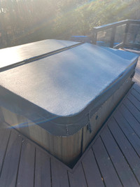 Sundance Chelsee -Almost new hot tub cover
