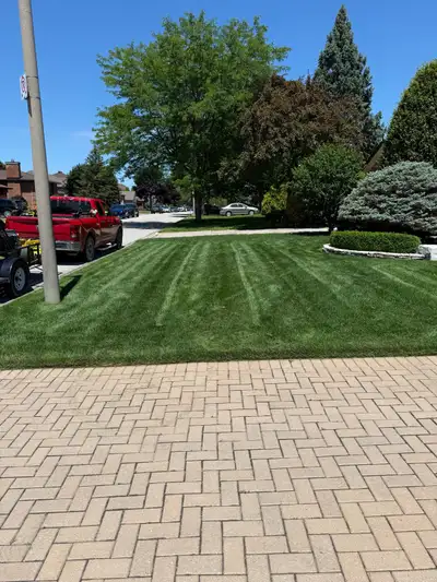 22-year-old landscapers/lawncare workers for hire, View more