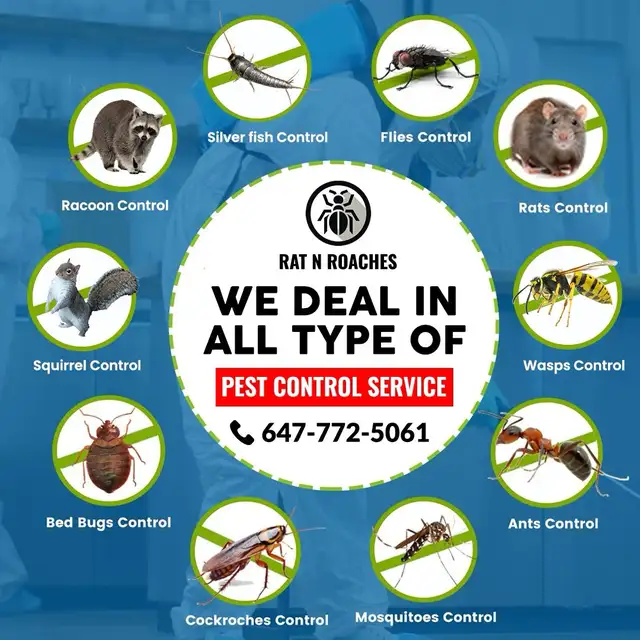 Rat N Roaches Pest Control Services478192057325998082