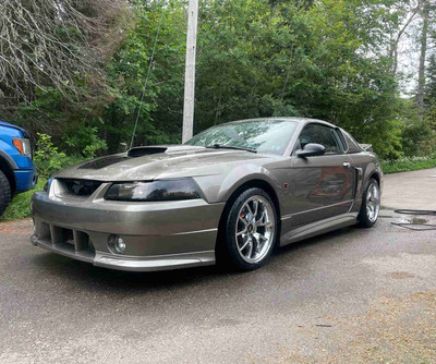 2001 Mustang 