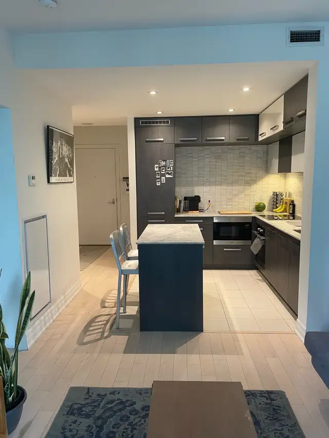Condo for Rent (long term sublet)63860084196225123