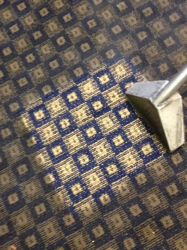 Carpet and Upholstery Cleaning in Condos for Sale in Saskatoon - Image 10