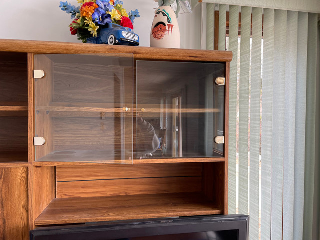 Wall unit.  in Hutches & Display Cabinets in Thunder Bay - Image 2